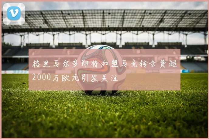 格里马尔多即将加盟马竞转会费超2000万欧元引发关注